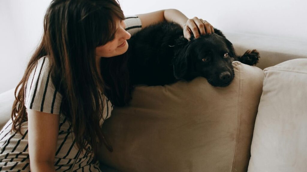 Tiempo de calidad con tus mascotas